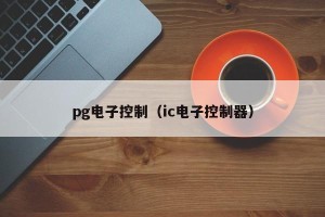 pg电子控制（ic电子控制器）